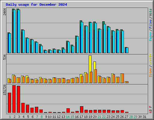 Daily usage for December 2024