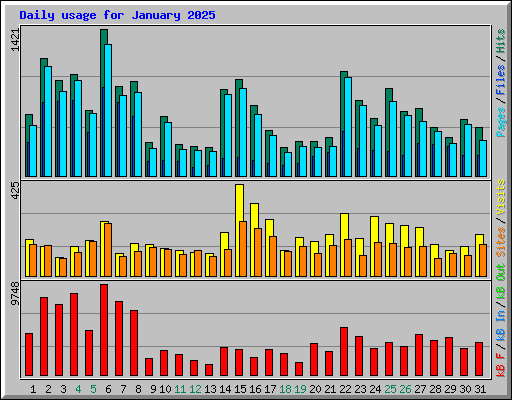 Daily usage for January 2025