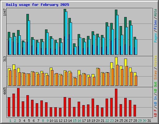 Daily usage for February 2025