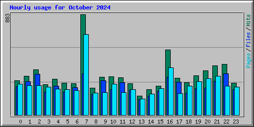 Hourly usage for October 2024