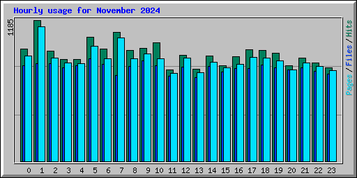 Hourly usage for November 2024