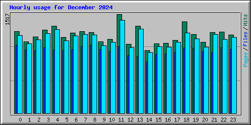 Hourly usage for December 2024