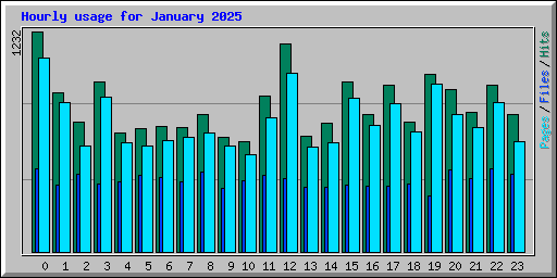 Hourly usage for January 2025