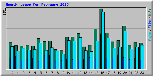 Hourly usage for February 2025