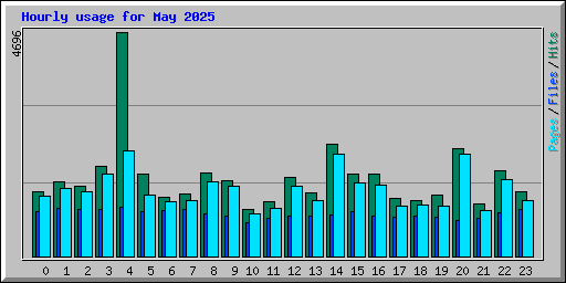 Hourly usage for May 2025