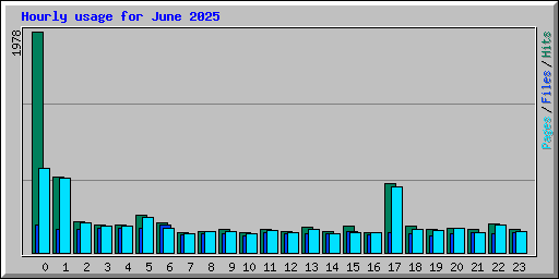 Hourly usage for June 2025