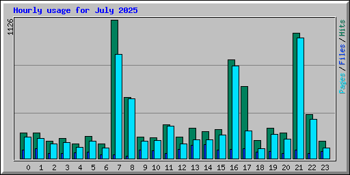 Hourly usage for July 2025