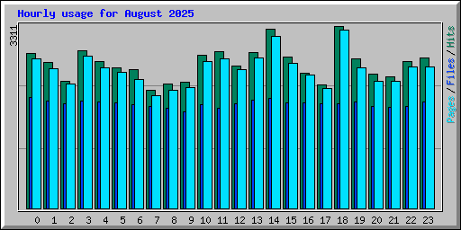 Hourly usage for August 2025