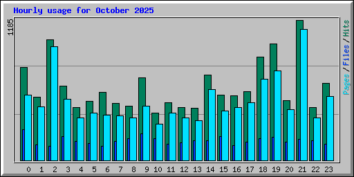 Hourly usage for October 2025