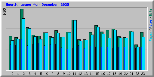 Hourly usage for December 2025