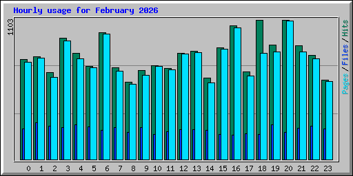Hourly usage for February 2026