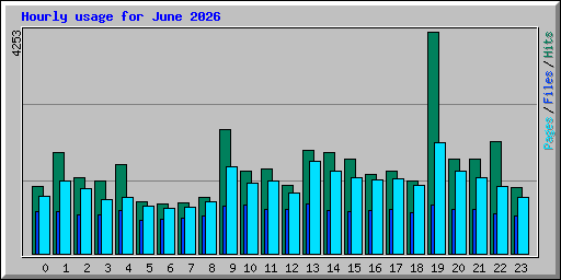Hourly usage for June 2026