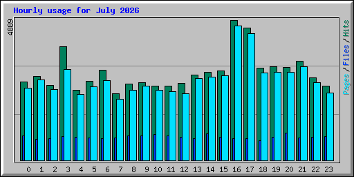 Hourly usage for July 2026