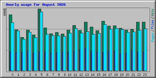 Hourly usage for August 2026