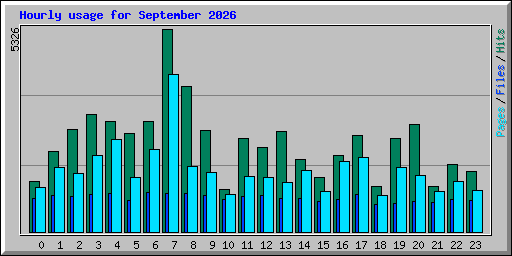 Hourly usage for September 2026