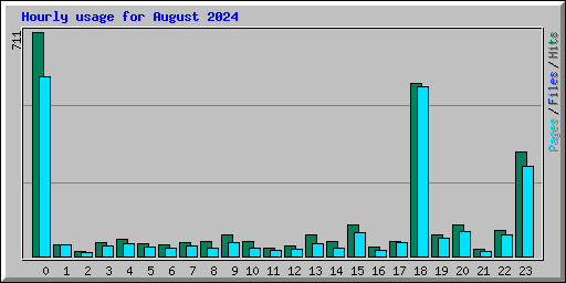 Hourly usage for August 2024