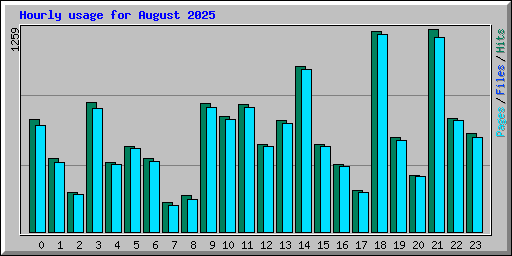 Hourly usage for August 2025