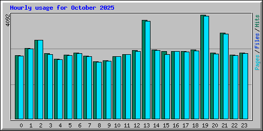 Hourly usage for October 2025