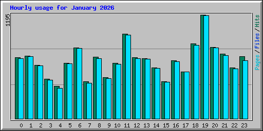 Hourly usage for January 2026
