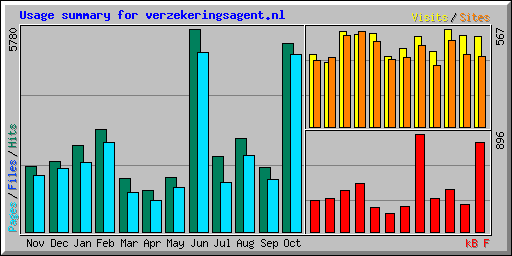 Usage summary for verzekeringsagent.nl